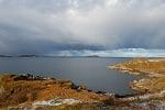 generalfors